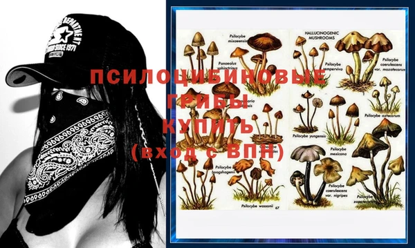 мяу мяу мука Абдулино