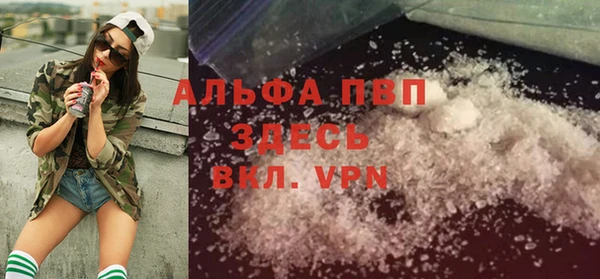 сатива Горняк