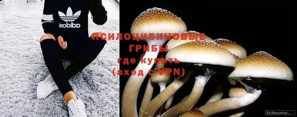 бутират Горнозаводск